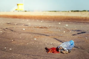 debris in roadway